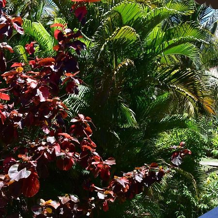 Jardin Sur Mer Тер-де-О Экстерьер фото