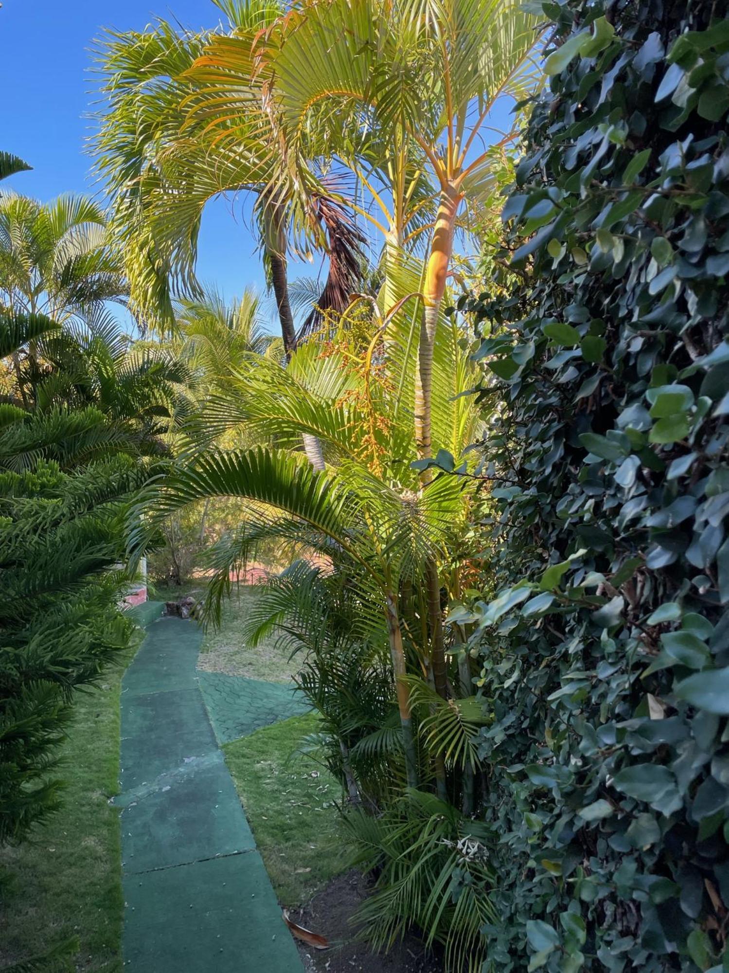 Jardin Sur Mer Тер-де-О Экстерьер фото